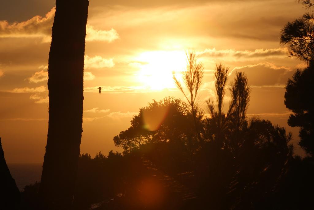 Villa Calanques Ensues-la-Redonne Esterno foto